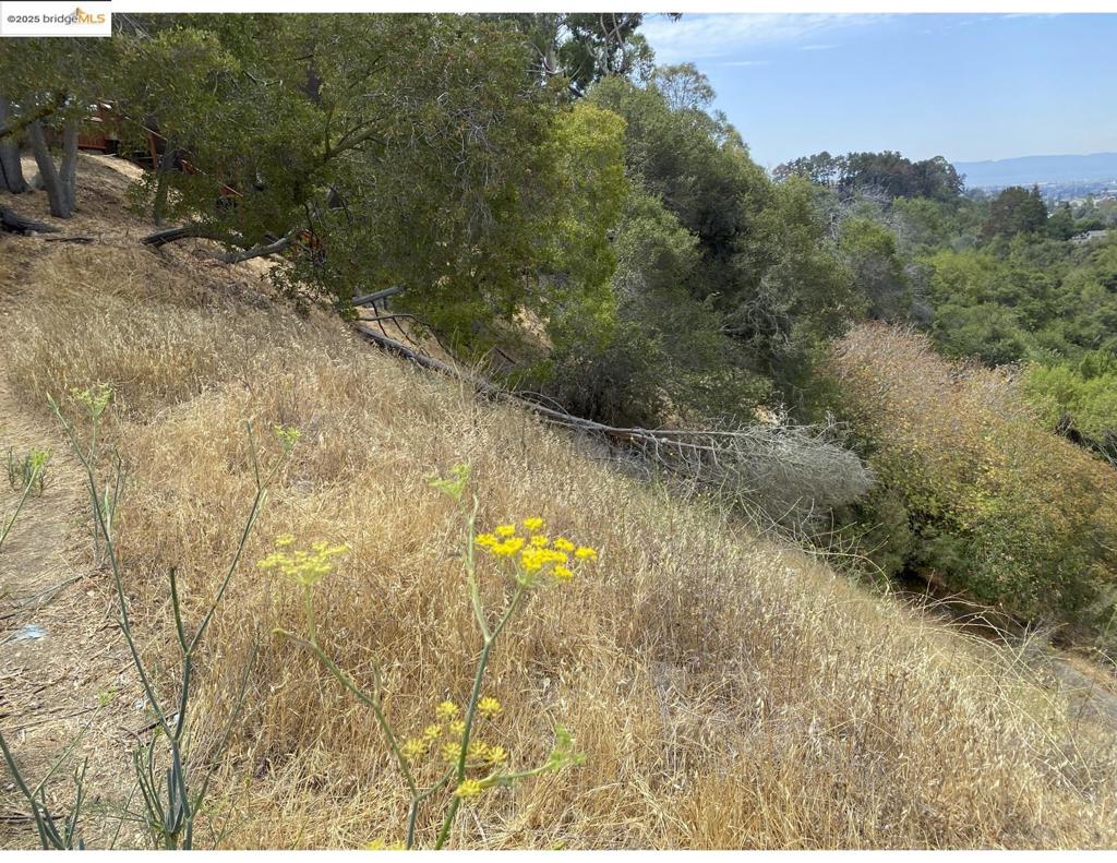 OAKLAND HILLS - Land