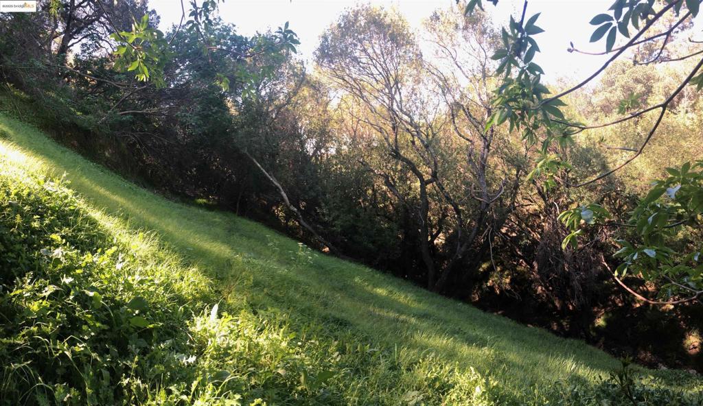 OAKLAND HILLS - Land