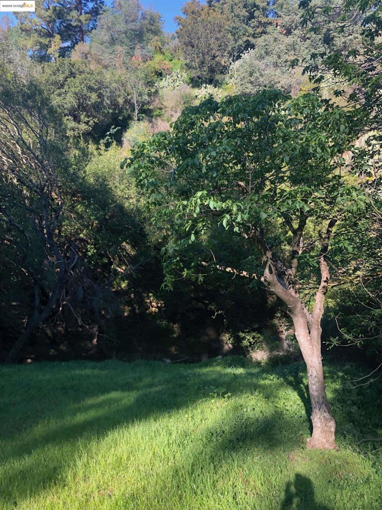 OAKLAND HILLS - Land