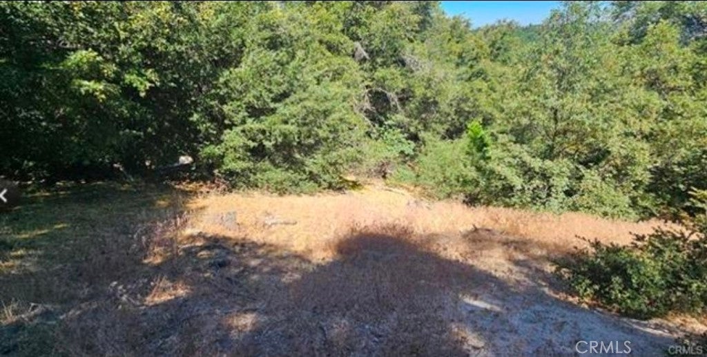 25126 Jewel Drive