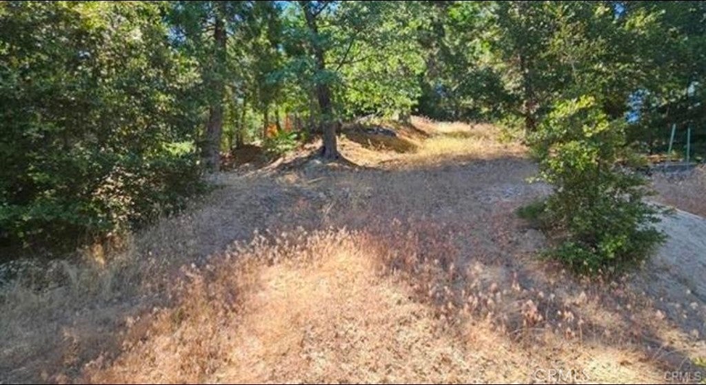 25126 Jewel Drive