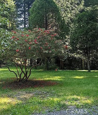 3027 Brier Lane
