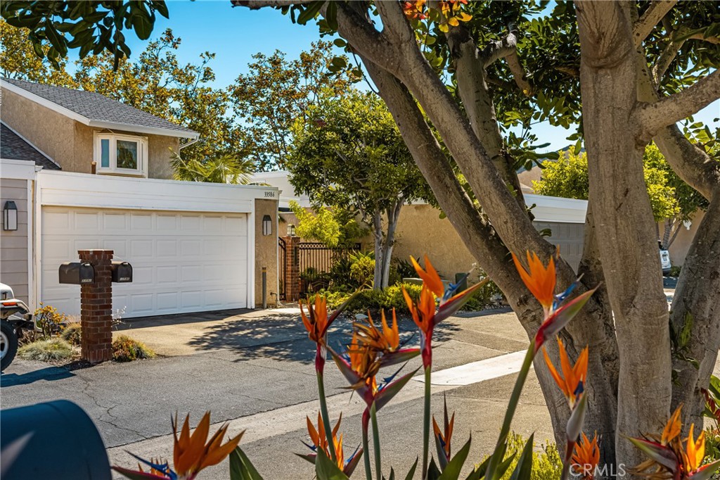 Dana Light I (DL) - Residential