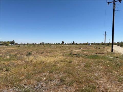 1080 Danbury Pinon Hills CA 92372