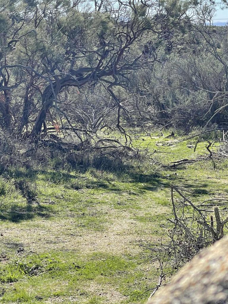 640 Tierra Del Sol Rd