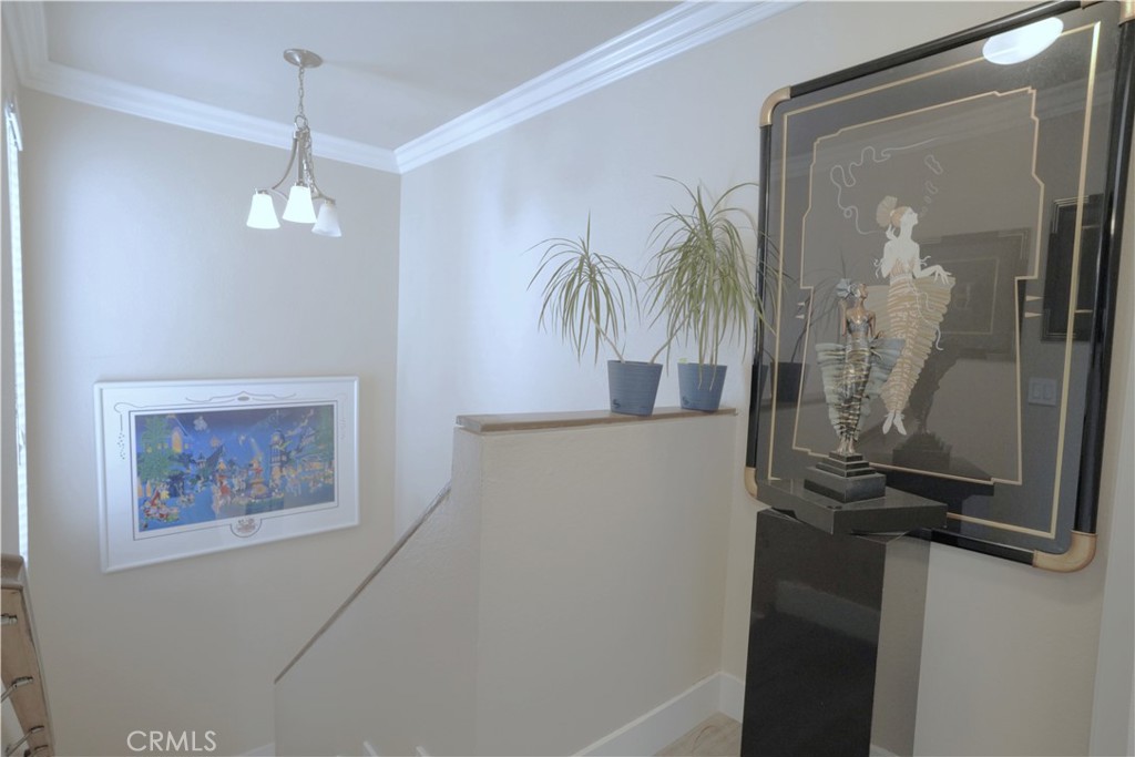 El Niguel Terrace (ENT) - Residential