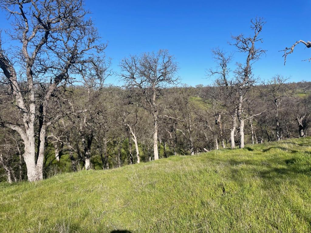 108 Lot 8 of Tract No.91-1002 Lane
