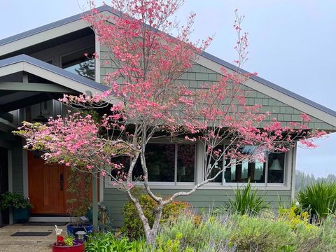 1584 Tindall Ranch Road Corralitos CA 95076