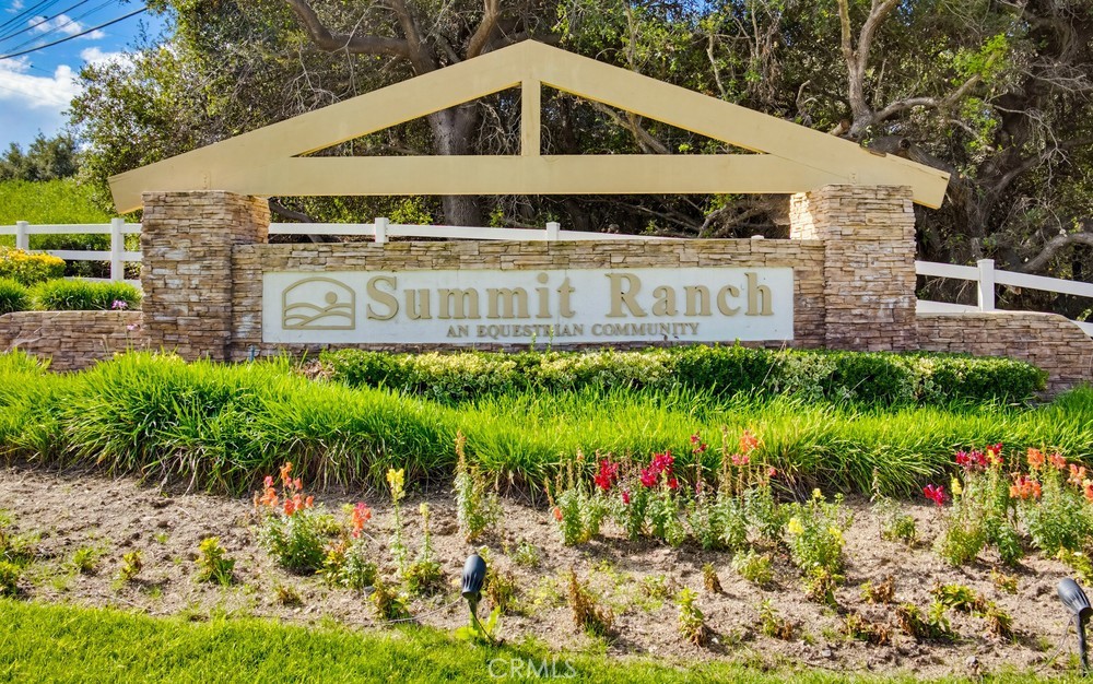 1965 Turquoise Circle