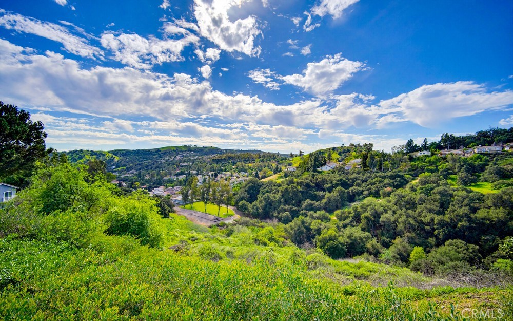 1965 Turquoise Circle