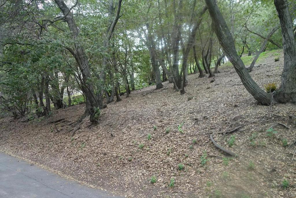 Amazing opportunity to build your dream home and own a piece of real estate in Los Gatos. Top schools and close proximity to downtown and all your favorite shops! Call Kim for details. 408.476.2153