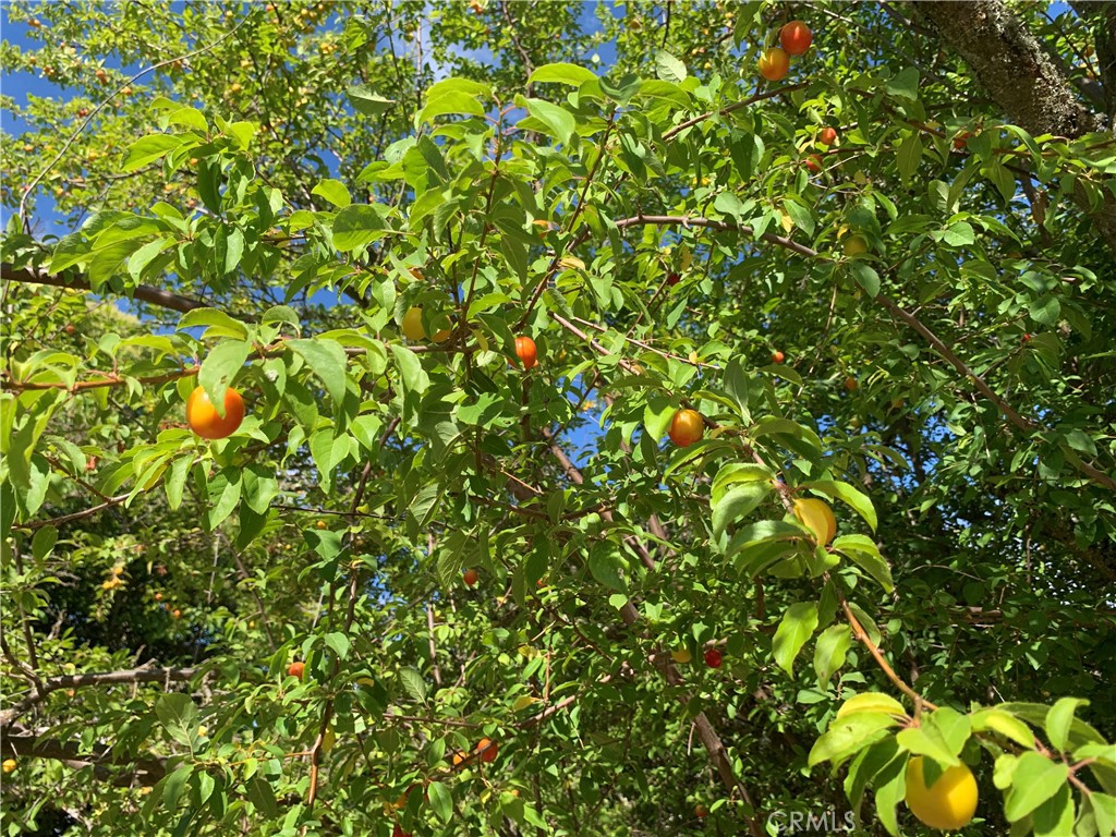 ATNorthwest(20) - Residential