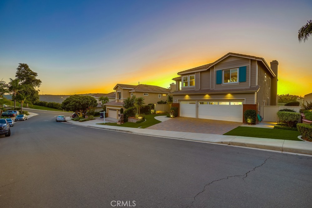 75 Rockrose