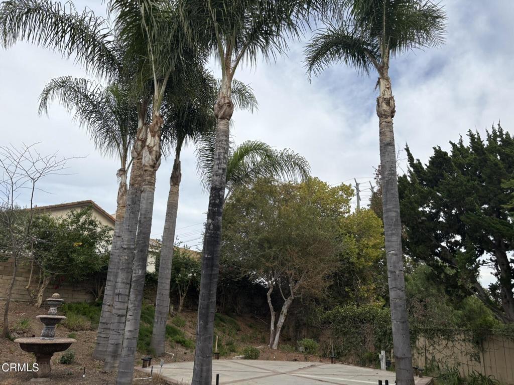 Willows-277 - Residential