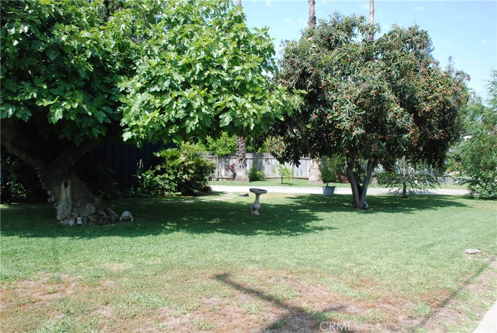 360 Campbell Avenue