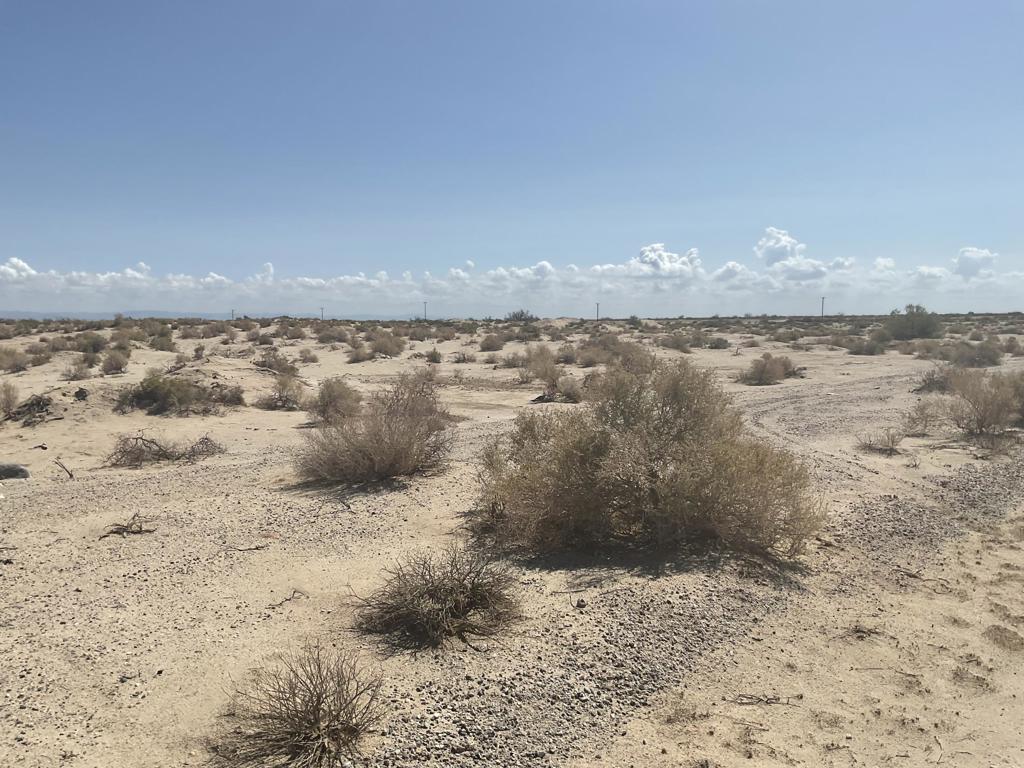 Not Applicable-1 - Land