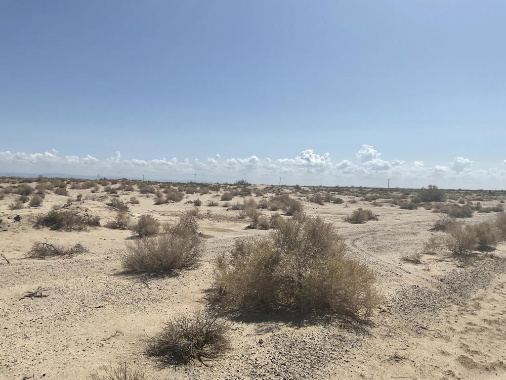 Not Applicable-1 - Land