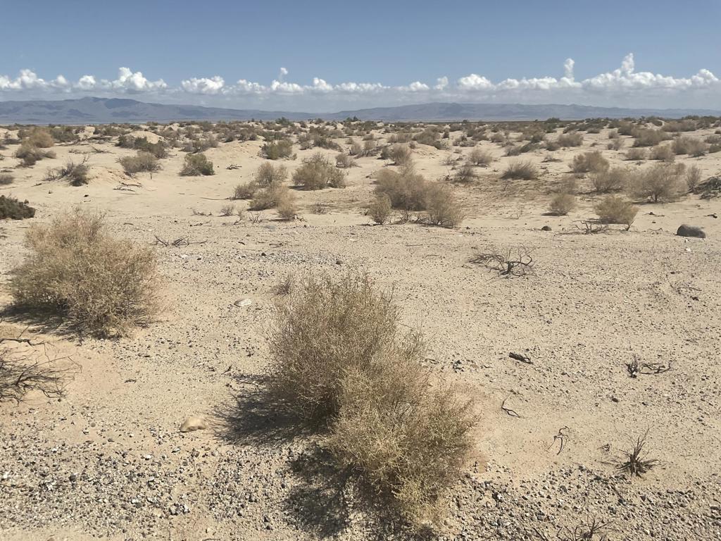 Not Applicable-1 - Land