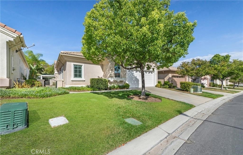 24252 Calle Artino