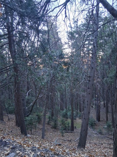 Photo of 0 Reservoir, Cedarpines Park, CA 92322 (MLS # IG25260268)