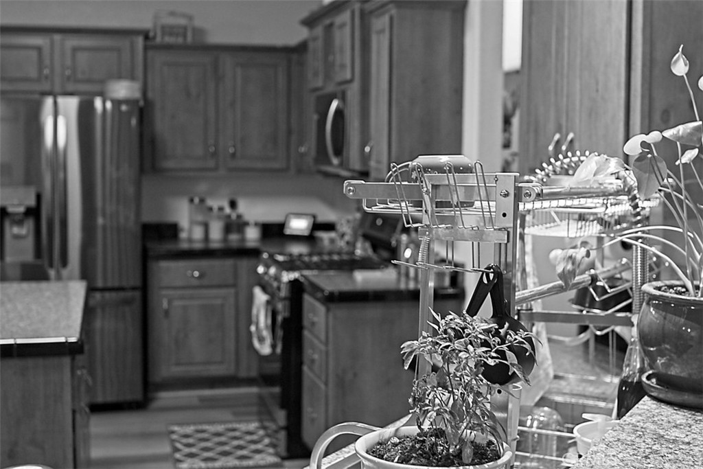 51490 Forest Boundry