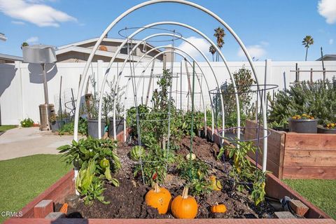 Tiny photo for 1040 Dover Lane, Ventura, CA 93001 (MLS # V1-33628)