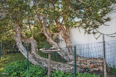 Tiny photo for 1040 Dover Lane, Ventura, CA 93001 (MLS # V1-33628)