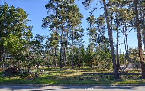 Photo of 0 Buckley, Cambria, CA 93428 (MLS # SC26044441)