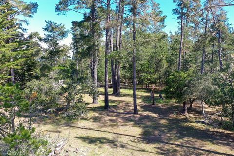 Tiny photo for 0 Buckley, Cambria, CA 93428 (MLS # SC26044441)