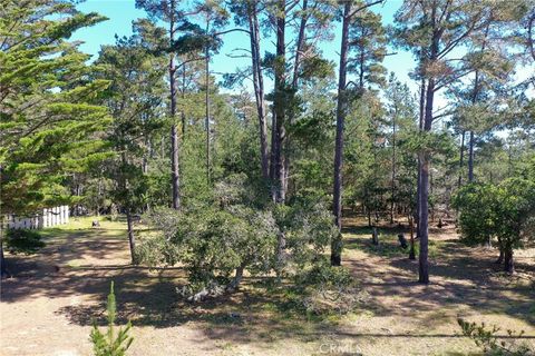 Tiny photo for 0 Buckley, Cambria, CA 93428 (MLS # SC26044441)