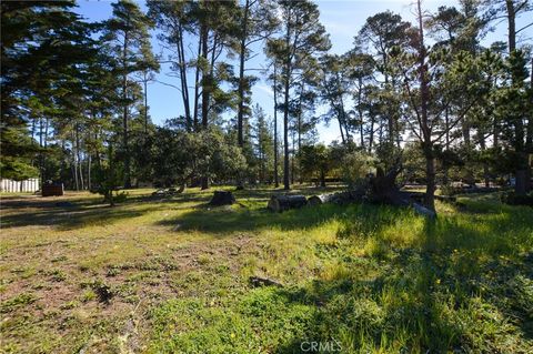 Tiny photo for 0 Buckley, Cambria, CA 93428 (MLS # SC26044441)