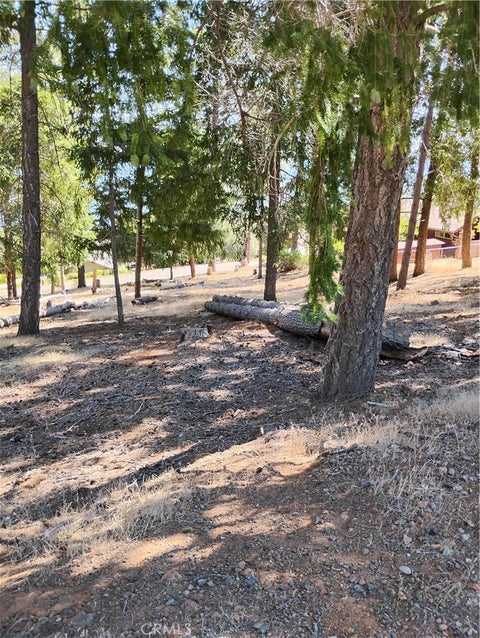 Photo of 3556 Meadow Wood DR, Kelseyville, CA 95451 (MLS # LC26190813)