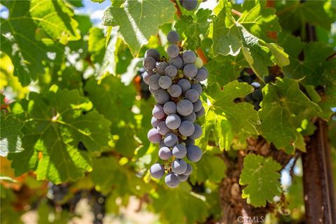 Tiny photo for 725 Spring Creek Way, Templeton, CA 93465 (MLS # NS25170230)