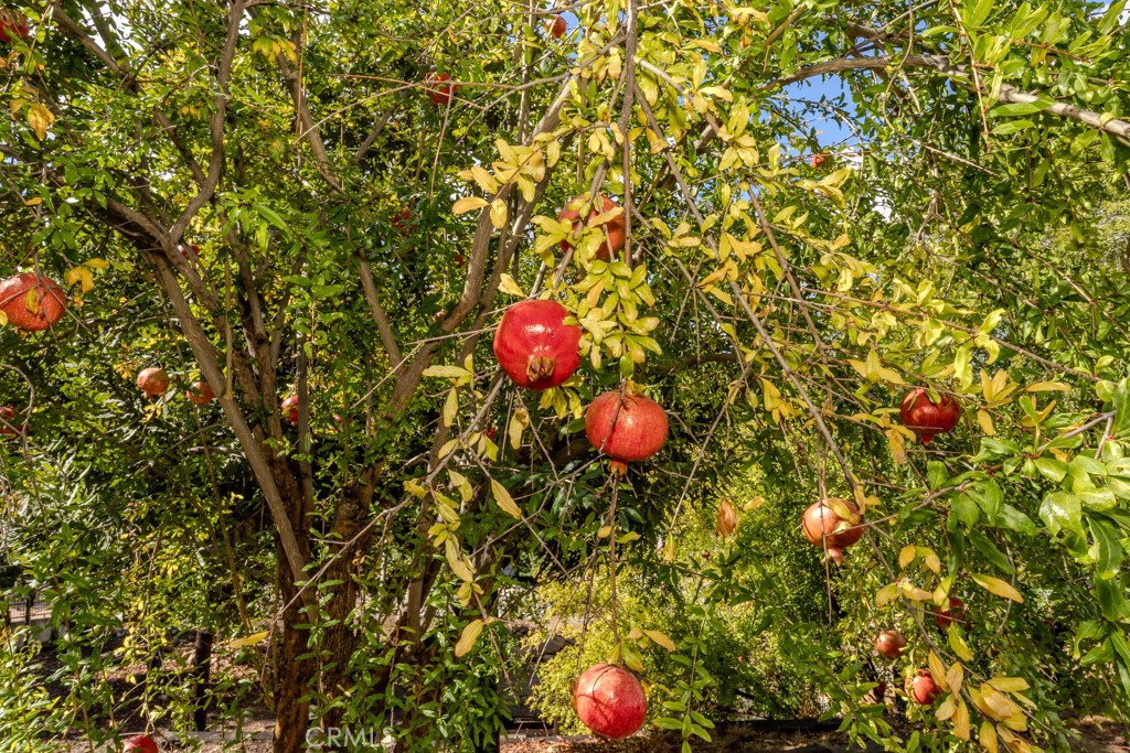 Anaheim Hills - Residential Lease