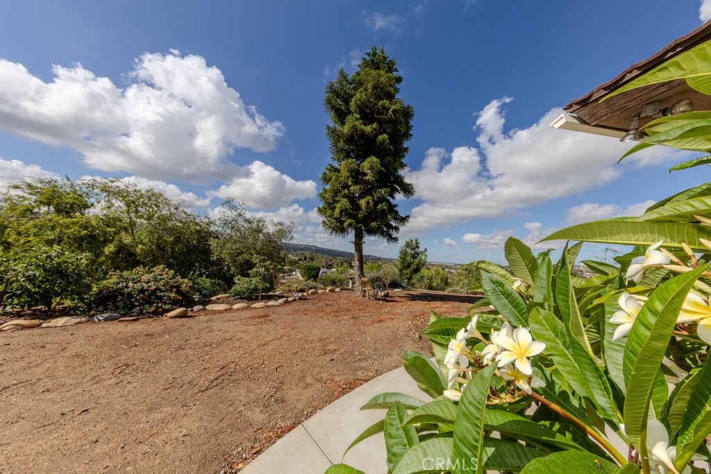 Anaheim Hills - Residential Lease