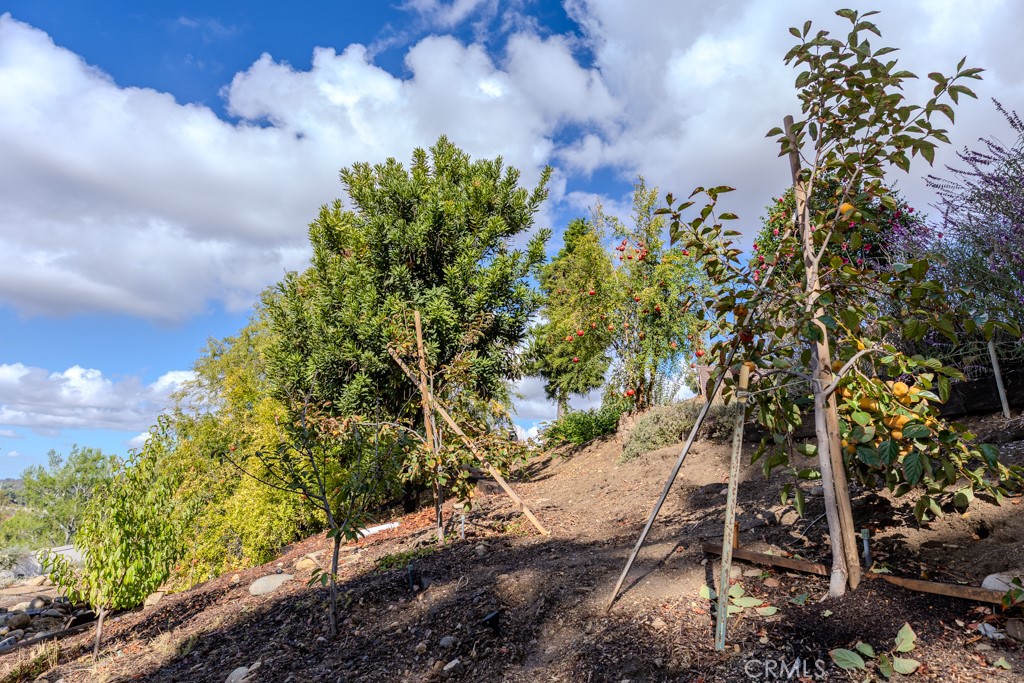 Anaheim Hills - Residential Lease