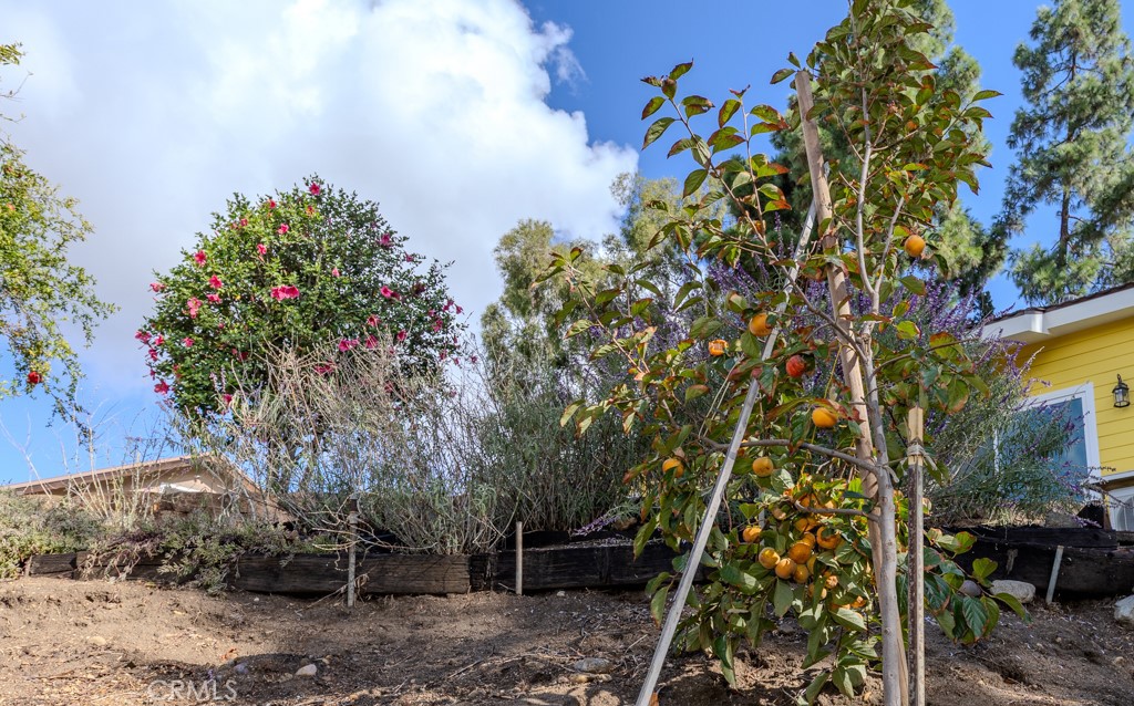 Anaheim Hills - Residential Lease