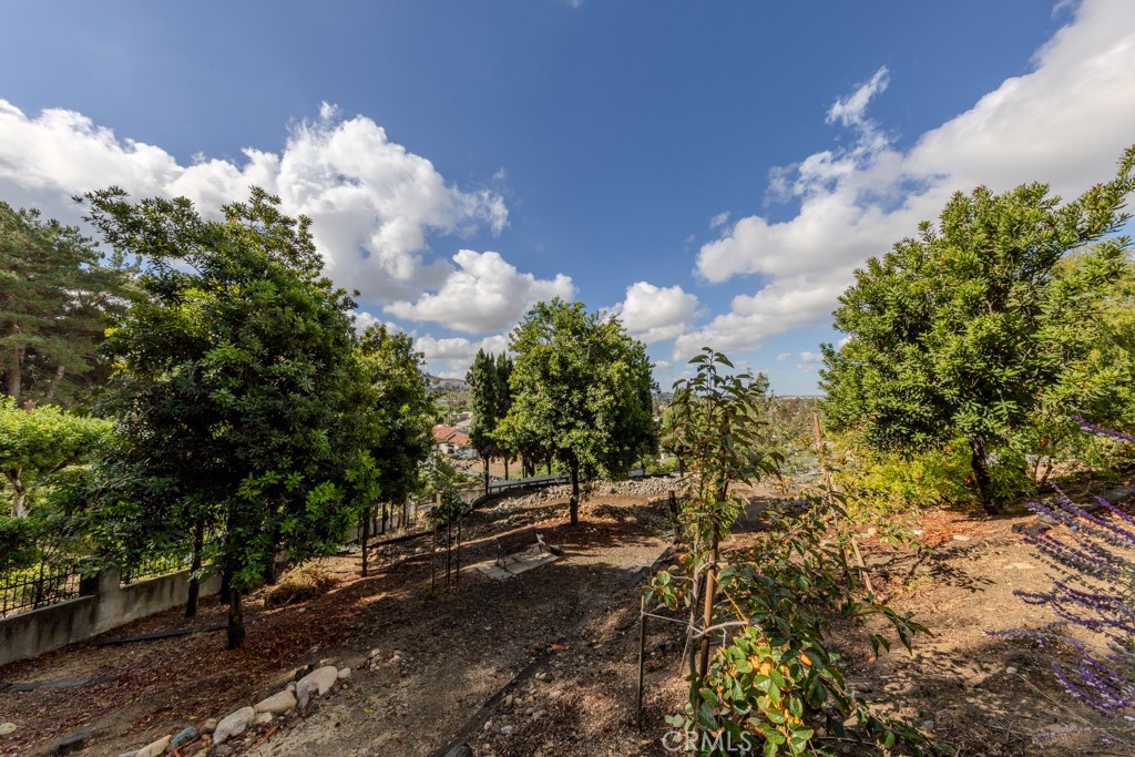 Anaheim Hills - Residential Lease