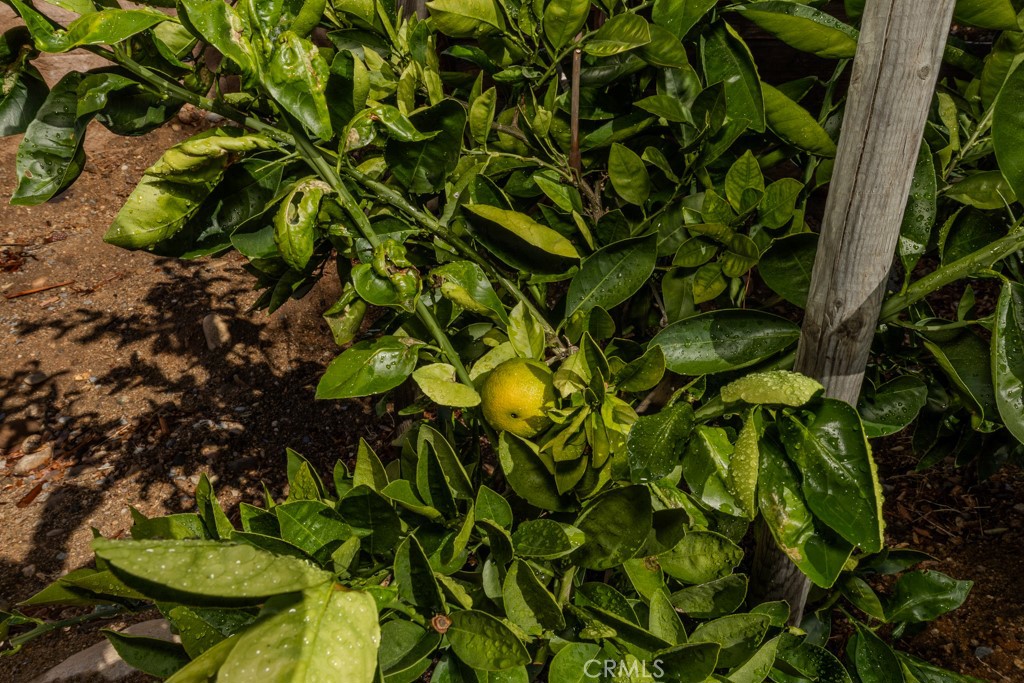 Anaheim Hills - Residential Lease