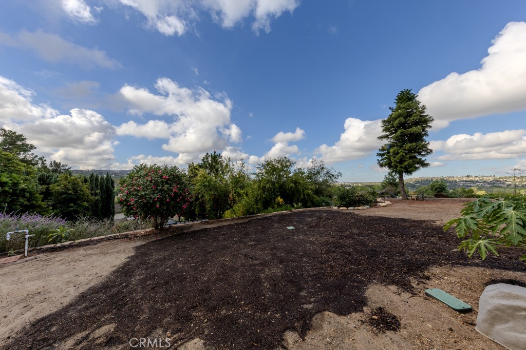 Anaheim Hills - Residential Lease