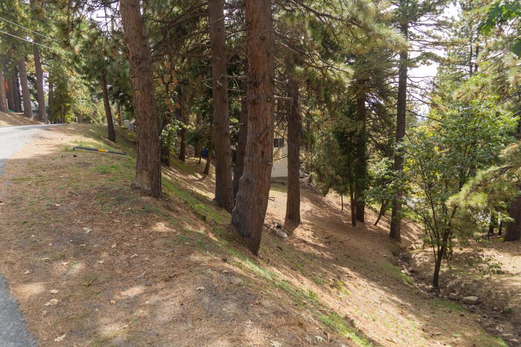 Not Applicable-1 - Land