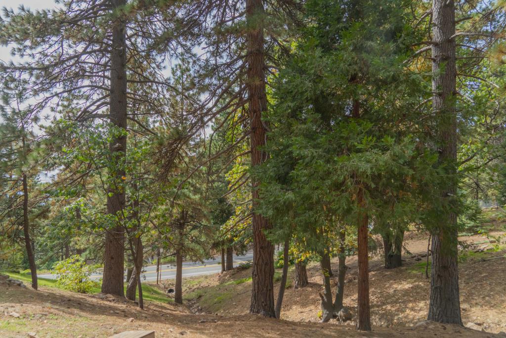 Discover the allure of this downslope lot, where nature meets convenience in perfect harmony. This triangular shaped parcel spans the corner of Circle View and Valley Ridge, while the long side extends down a seasonal creek, to a point on Hilltop Blvd (Hwy 18). What makes this lot truly special is its exceptional convenience. With proximity to town and ski resorts, your retreat into nature is never far away. Easy access to and from the mountain ensures that your adventures don't come with the hassle of a difficult commute. Positioned between 31371 Circle View and 31393 Valley Ridge, utility access is readily available, streamlining the process of building your dream home or getaway cabin. Imagine a life where the conveniences of modern living blend seamlessly with the tranquility of nature. Whether you're seeking a permanent residence or a weekend escape, this lot offers the perfect backdrop for your dreams to take root and flourish. Seize this opportunity to create a home that perfectly aligns with your vision, nestled in a location that effortlessly balances the best of both worlds.