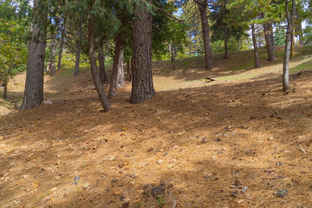 Not Applicable-1 - Land