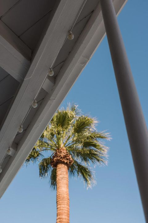 Tiny photo for 748 N Calle Rolph, Palm Springs, CA 92262 (MLS # 219144288PS)
