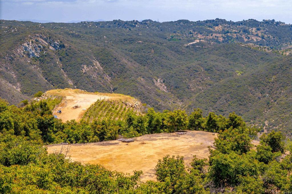 1 Los Gatos Road