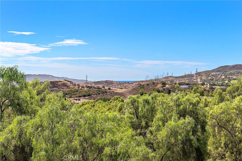 212 Corte Tierra Cielo, San Clemente CA 92673 - Photo 25