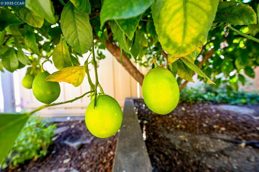 BANCROFT VILLAGE - Residential