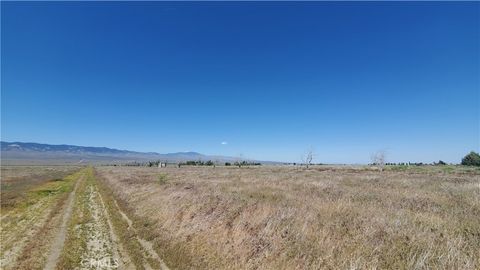 Photo of 0 263rd St West north of Ave C13, Fairmont, CA 93536 (MLS # SR25250845)