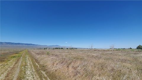 Photo of 0 263rd St West north of Ave C13, Fairmont, CA 93536 (MLS # SR25250845) Photo of 0 263rd St West north of Ave C13, Fairmont, CA 93536 (MLS # SR25250845)