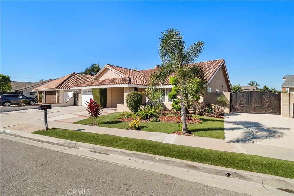 17925 Mount Coulter